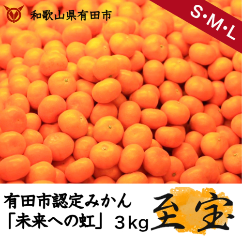 327.有田市認定みかん「未来への虹」至宝(3kg)【日本初自治体認定フルーツ】(A327-2) 123284 - 和歌山県有田市