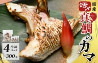 国産 活〆養殖 真鯛のカマ 合計1.2kg（300g×4パック） 099H2590