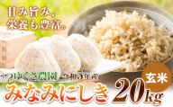 米 令和5年産 みなみにしき 玄米 20kg  熊本県 荒尾市産 米 玄米 選べる つゆくさ農園 《30日以内に出荷予定(土日祝除く)》 米 こめ コメ 玄米