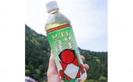 No.249　「さるぼぼの緑茶」白川茶ペットボトル
