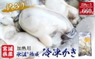 牡蠣 訳あり 氷温熟成 冷凍 （加熱用） 220ｇ × 3パック かき カキ 魚貝類 貝類 海の幸 BBQ バーベキュー おつまみ