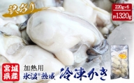 牡蠣 訳あり 氷温熟成 冷凍 （加熱用） 220ｇ × 6パック かき カキ 魚貝類 貝類 海の幸 BBQ バーベキュー おつまみ