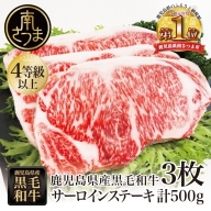 【鹿児島県産】黒毛和牛 サーロインステーキ 約500g