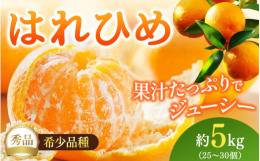 ミカンの希少種・はれひめ。果汁たっぷり！ジューシー！さわやかなオレンジ風味！はれひめは比較的新しい品種のため、知名度はそれほど高くありません。しかし程よい甘さで、人気急上昇のミカンです。清美タンゴール