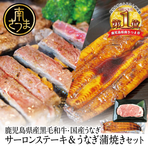 鹿児島県産黒毛和牛サーロインステーキ＆国産うなぎ蒲焼き スタミナセット（同梱発送） 牛肉 サーロイン 国産 鰻 贈答 冷凍 スターゼン ギフト 南さつま市 123549 - 鹿児島県南さつま市