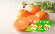 【 先行予約 】せとか 約 3kg (9~13玉) 秀品 3月配送 愛媛 松山市 柑橘 高級 糖度