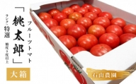 ５９０５　トマト 美味しんぼに登場したトマト｢桃太郎｣大箱 約3.5ｋｇ：特選 糖度９度以上 石山農園