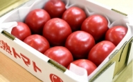 5902 トマト 美味しんぼに登場したトマト「桃太郎」12〜20玉 約1kg ランク:特選 糖度9度以上 石山農園