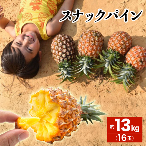 2026年 先行予約 スナックパイン 約13kg 16玉 西表島ひらい農園 パイナップル 果物 フルーツ パイン 027-a013_2026 1235843 - 沖縄県竹富町