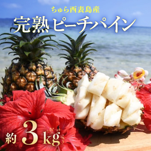 2026年 先行予約 ピーチパイン 約3kg 3玉～5玉 ちゅら西表島産!! ゆたか農園 完熟 パイン 果物 フルーツ パイナップル 1235844 - 沖縄県竹富町