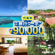 沖縄県竹富町　日本旅行　地域限定旅行クーポン 90，000円分【チケット 旅行 宿泊券 ホテル 観光 旅行 旅行券 交通費 体験  宿泊 夏休み 冬休み 家族旅行 ひとり カップル 夫婦 親子 トラベルクーポン 竹富町旅行】