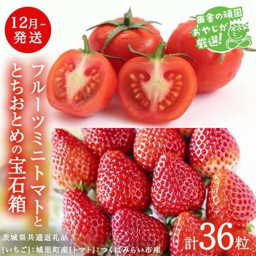 とちおとめ と フルーツミニトマト宝石箱 36粒【1月より発送開始】（茨城県共通返礼品 [いちご]：城里町産　[トマト]：つくばみらい市産） 詰め合わせ 果物 フルーツ 茨城県産 [BI467-N 1236188 - 茨城県つくばみらい市