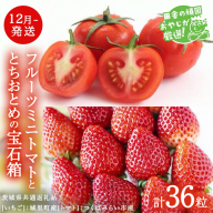 とちおとめ と フルーツミニトマト宝石箱 36粒【1月より発送開始】（茨城県共通返礼品 [いちご]：城里町産　[トマト]：つくばみらい市産） 詰め合わせ 果物 フルーツ 茨城県産 [BI467-N