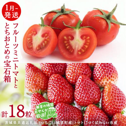 とちおとめ と フルーツミニトマトの宝石箱 18粒【1月から発送開始】（茨城県共通返礼品 [いちご]：城里町産　[トマト]：つくばみらい市産）  詰め合わせ 果物 フルーツ 茨城県産 [BI468-NT] 1236189 - 茨城県つくばみらい市