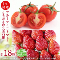とちおとめ と フルーツミニトマトの宝石箱 18粒【1月から発送開始】（茨城県共通返礼品 [いちご]：城里町産　[トマト]：つくばみらい市産）  詰め合わせ 果物 フルーツ 茨城県産 [BI468-NT]