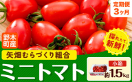 【先行予約】【3ヶ月定期便】ミニトマト 約1.5kg 1箱 小箱 栃木県 野木町産 矢畑むらづくり組合 《10月中旬頃順次出荷》栃木県 野木町 トマト ミニトマト 野菜 新鮮