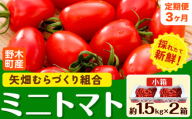【先行予約】【3ヶ月定期便】ミニトマト 約1.5kg 2箱 小箱 栃木県 野木町産 矢畑むらづくり組合 《10月中旬頃順次出荷》栃木県 野木町 トマト ミニトマト 野菜 新鮮