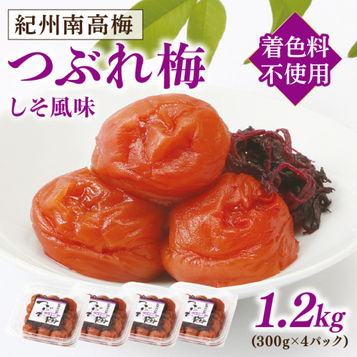 紀州南高梅つぶれ梅 しそ風味1.2kg 1236450 - 和歌山県御坊市