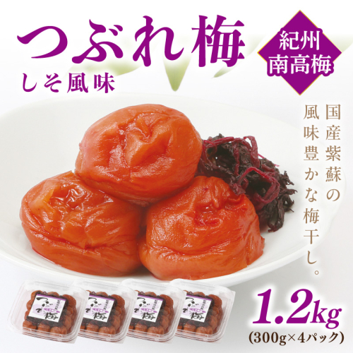 紀州南高梅つぶれ梅 しそ風味1.2kg 1236450 - 和歌山県御坊市