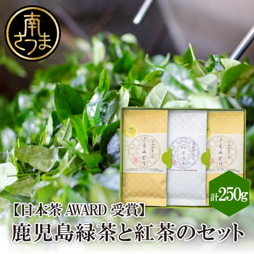 【日本茶AWARD受賞】鹿児島緑茶と紅茶のセット（計250g） 123662 - 鹿児島県南さつま市