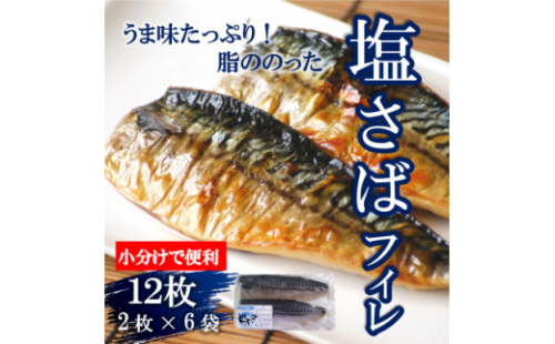 塩さばフィレ 12枚(2枚×6袋) 小分け 便利 お弁当 おかず 冷凍便 鯖 サバ 魚 海鮮 魚介類 夕食 晩ごはん 夜ごはん お米に合う コメ に合う 南知多 1236672 - 愛知県南知多町