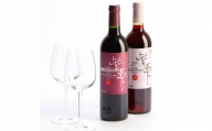 山葡萄ワイン 紫雫～Marine Rouge～セット(赤・ロゼ)750ml×各1本【1487281】