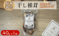 宮崎県産 乾燥 椎茸 40g×1袋 チャック袋入 [ HUTTE 宮崎県 美郷町 31ao0011] 干ししいたけ 出汁 オーガニック 原木栽培 有機JAS認証 料理 調理 小分け 常温 渡川 アヒージョ 煮物 煮付け おかず おこわ 鍋 みそ汁 炒め物 うどん そば スープ パスタ リゾット 春巻き 数量限定