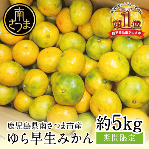 【2025年 先行予約 】 鹿児島県産 ゆら早生みかん 約5kg ≪ 期間限定 ≫ 柑橘 くだもの フルーツ 果実 みかん ミカン 蜜柑 温州みかん 極早生 わせみかん 甘味 ジューシー 鹿児島県南さつま市産 国産 国内産 JA南さつま 123693 - 鹿児島県南さつま市