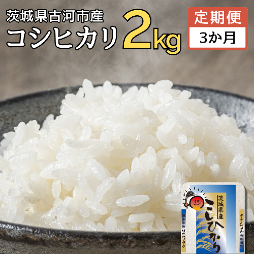 【定期便 3か月】令和7年産 古河市産コシヒカリ 2kg | 米 こめ コメ 2キロ 定期便 こしひかり コシヒカリ 古河市産 茨城県産 贈答 贈り物 プレゼント 茨城県 古河市 直送 産地直送 送料無料 _DP28 1237269 - 茨城県古河市