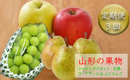 フルーツ好き必見！３回に分けて、山形のフルーツをお届けします。1回目（2024年9月上旬頃〜10月下旬頃）：シャインマスカット１房(約700〜800g) 種なしで皮ごと食べられるぶどうで、パリッとした