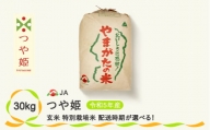 令和5年産 玄米 特別栽培米 つや姫 30kg 4月下旬発送 ja-tsgta30-4s