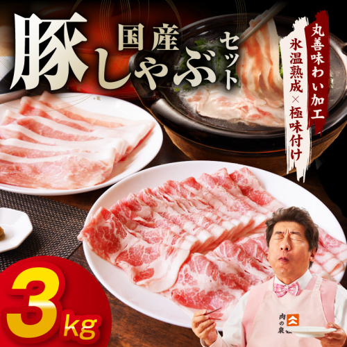 国産 豚しゃぶ セット 3kg もも 肩ロース スライス【氷温熟成×極味付け 豚肉 小分け 300g×10P ぶたにく 普段使い しゃぶしゃぶ】 mrz0302 1237626 - 大阪府泉佐野市