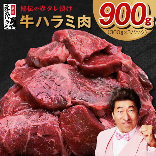 【TVで紹介！】牛ハラミ肉 900g 秘伝の赤タレ漬け【小分け 300g×3P 牛肉 焼肉用 焼くだけ 小分け BBQ やきにく】 010B1523 1237662 - 大阪府泉佐野市