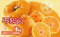 不知火 訳あり しらぬい 約4kg ご家庭用 みかん 愛媛 人気 サイズミックス 柑橘 伊予市|