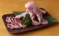 国産 豚タン 500g 冷凍【醤油ダレ】漬け込み肉 味付き肉 タレ付き 肉