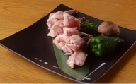 国産 若鶏チューリップ 1.5kg 冷凍【塩ダレ】