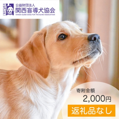 【返礼品なし】盲導犬の育成を応援しよう！（2,000円単位でご寄附いただけます。※3割を盲導犬育成に活用） 1238088 - 京都府亀岡市