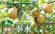 【先行受付】会津の美味しい梨 幸水 約3kg（5玉～6玉）※着日指定不可※2024年8月下旬～9月上旬頃に順次発送予定