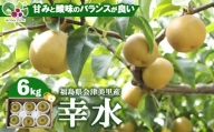 【先行受付】会津の美味しい梨 幸水 約6kg（10玉～12玉）※着日指定不可※2024年8月下旬～9月上旬頃に順次発送予定