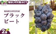 【先行受付】会津の美味しいぶどう 種なし ブラックビート 1.2kg以上 2房※着日指定不可※2024年9月上旬～9月下旬頃に順次発送予定