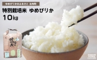 ぴっぷ町ナナプラザ　2023年産　特別栽培米ゆめぴりか　１０㎏