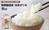 ぴっぷ町ナナプラザ　2023年産　特別栽培米ゆめぴりか　５㎏