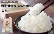 ぴっぷ町ナナプラザ　2023年産　特別栽培米ななつぼし　５㎏