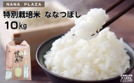ぴっぷ町ナナプラザ　2023年産　特別栽培米ななつぼし　１０㎏