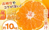 尾崎 温州 みかん 約 10kg 柑橘 フルーツ 果物 名産地 天水