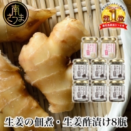 【健康習慣】生姜の佃煮・生姜酢漬け 2種 計8個