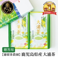 【贈答用】鹿児島県産緑茶 大浦茶 一番茶2本セット（100g×2） ◆2024年産新茶