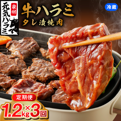 【冷蔵配送】牛ハラミ肉 1.2kg×全3回【毎月配送コース お楽しみ 焼肉 ていきびん 小分け 味付け 焼くだけ 小分け BBQ やきにく 数量限定】 099Z270 1238884 - 大阪府泉佐野市