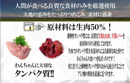 【定期便】国産 無添加 ドッグフード「いのちのごはん」1kg×全6回【毎月配送コース】 099Z175