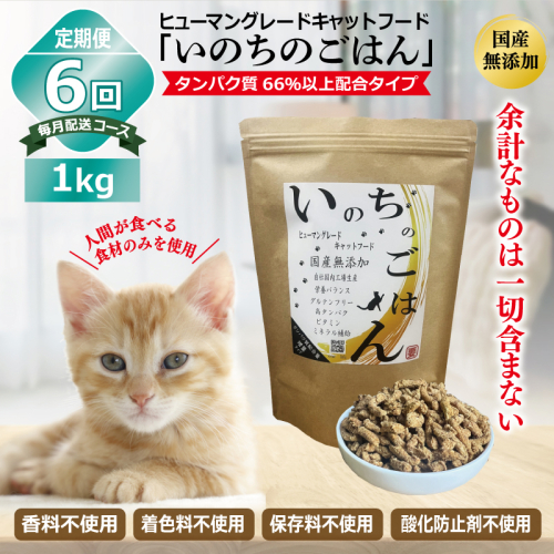 【定期便】国産無添加 キャットフード 1kg×全6回「いのちのごはん」タンパク質 66％以上配合タイプ【猫 ねこ ペットフード チキン 手作り ヒューマングレード 国産 毎月配送】 099Z334 1239326 - 大阪府泉佐野市